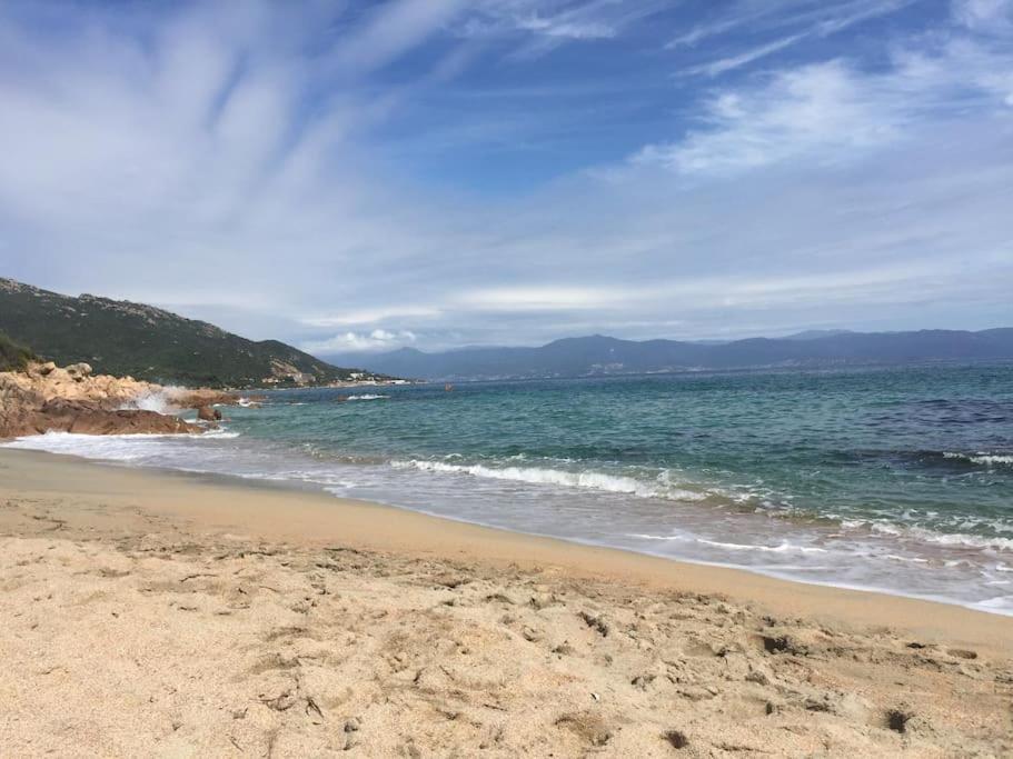 F2 Vue Mer Dans Residence Avec Piscine 阿雅克肖 外观 照片