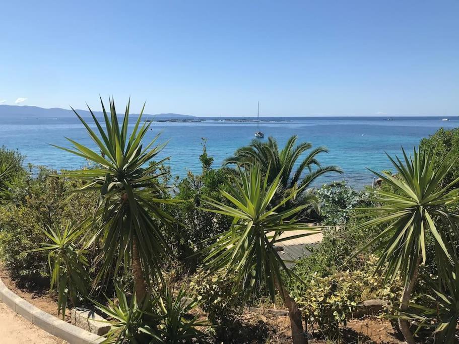 F2 Vue Mer Dans Residence Avec Piscine 阿雅克肖 外观 照片